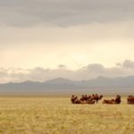Desierto de Gobi en Mongolia